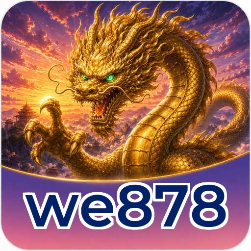 we878 Technical Info